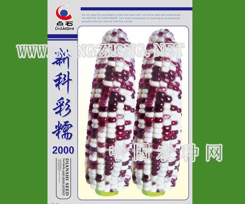 新科彩糯2000